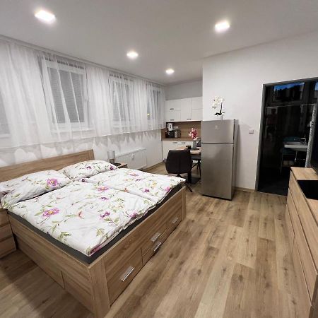 Apartmany U Jelena 1 Cesky Krumlov Ngoại thất bức ảnh